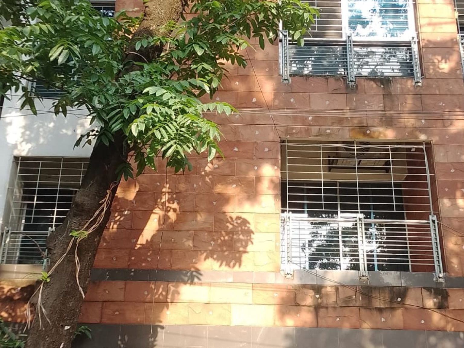 Building View